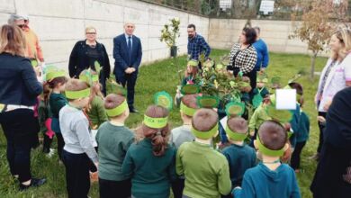 402546078 733237815500030 1289655483694277717 n