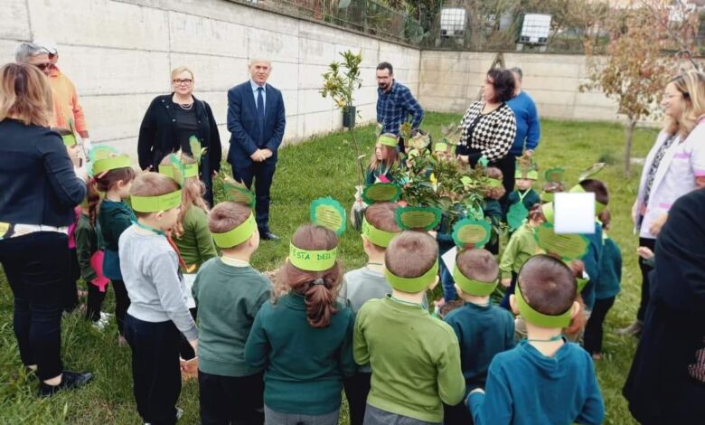 402546078 733237815500030 1289655483694277717 n