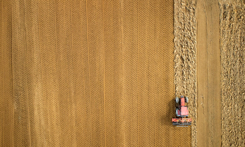 arare a novembre terra