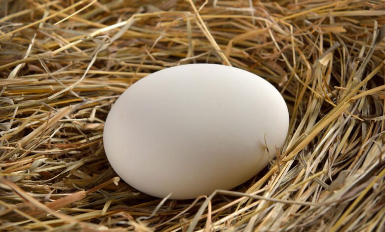 la vita guido santangelo