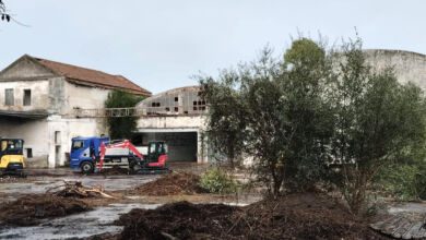 parco archeologico paestum cirio