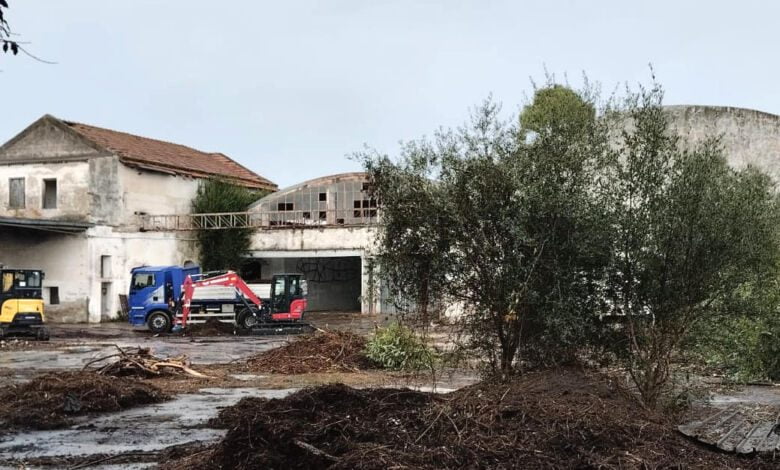 parco archeologico paestum cirio