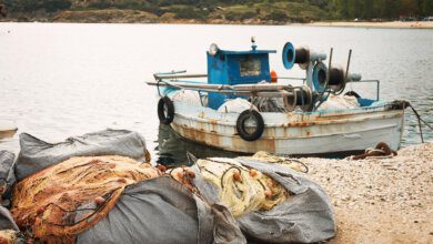 pesca nel cilento