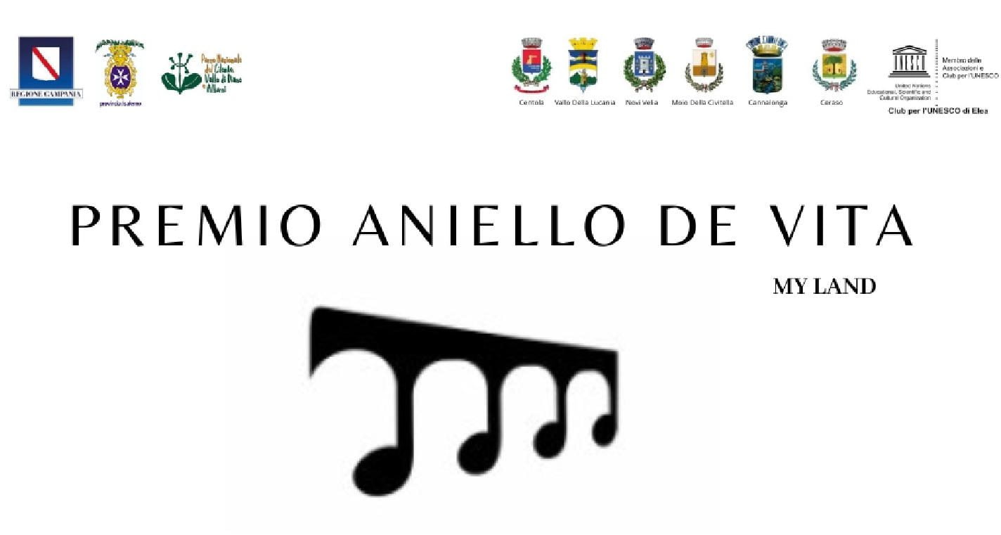 premio aniello de vita