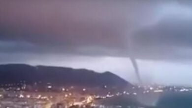 tromba daria salerno