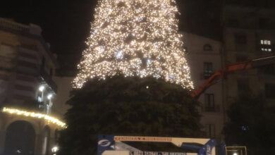 albero di natale a salerno