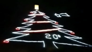 albero di natale tito