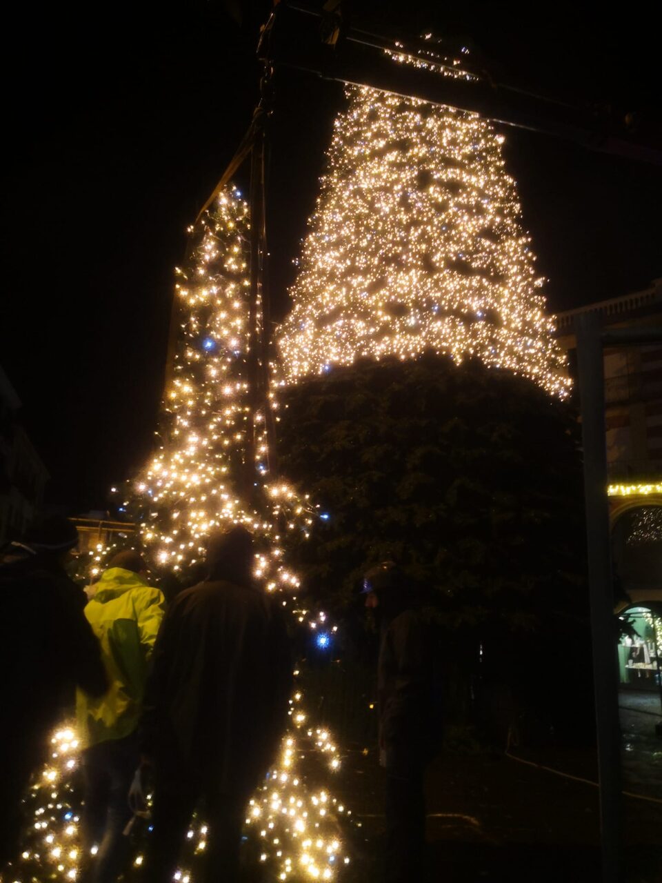 albero salerno portanova