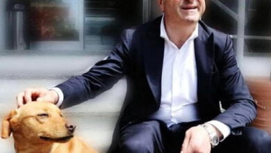 alfieri iniziativa capaccio adotta un cane