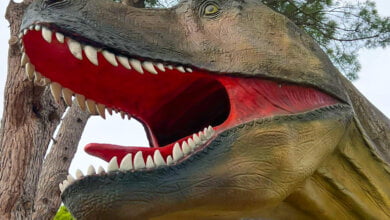 dinopark