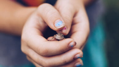 far conoscere le lucertole ai bambini