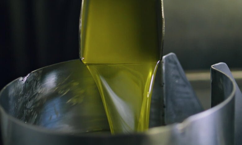 pnrr frantoi campania