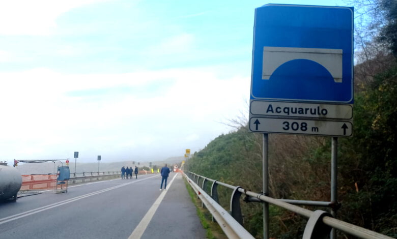 anas aquarulo ferrante