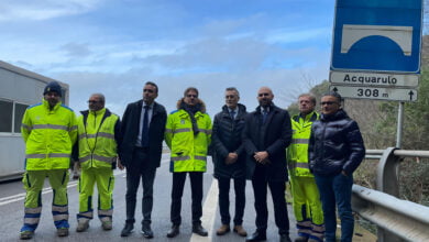 anas cilentana aquarulo ferrante