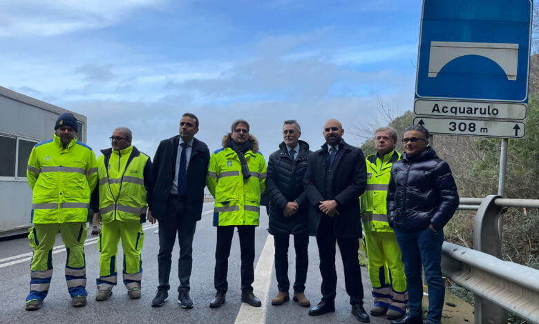 anas cilentana aquarulo ferrante