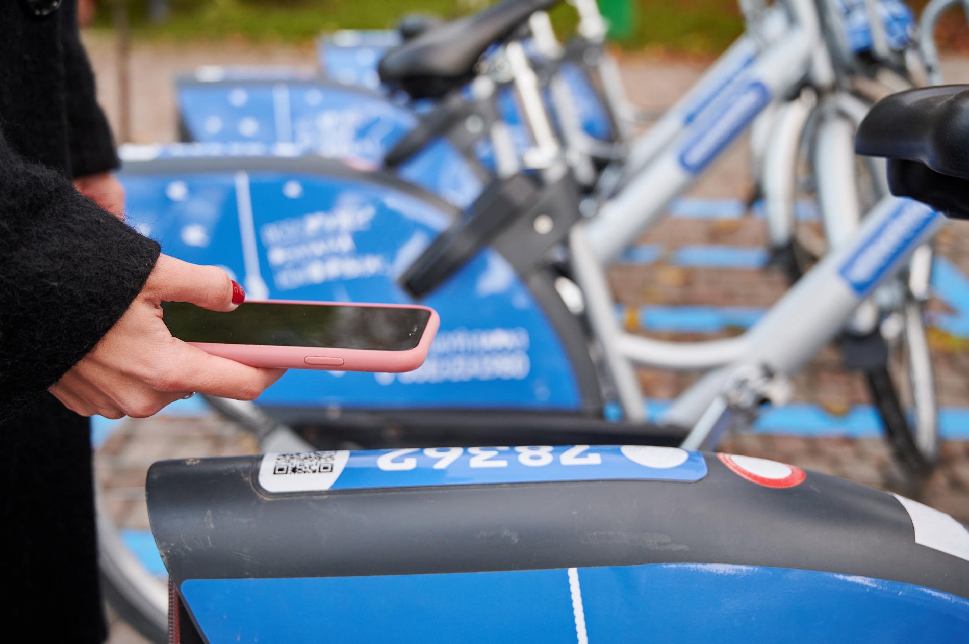 bike sharing camerota