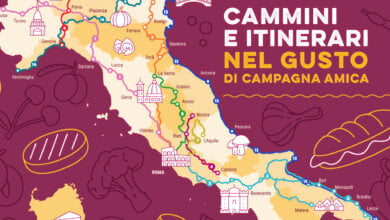 campagna amica a salerno