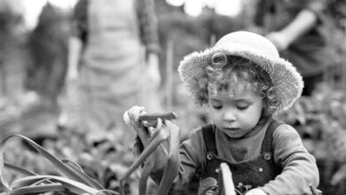 cilento bambini studio campi