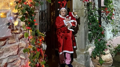 concorso luci altavilla silentina