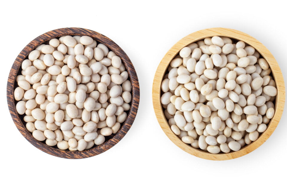 controne ed il suo fagiolo