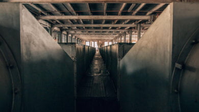 giorno della memoria