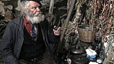 giuseppe spagnuolo sembra un quadro