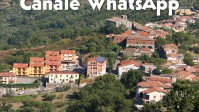 lustra cerca foto e video