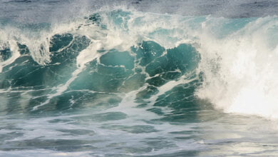 maltemo a villammare