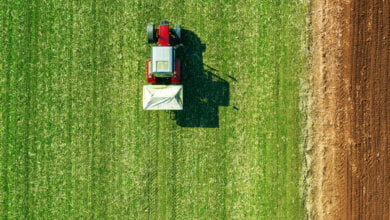opportunità settore agricolo campania