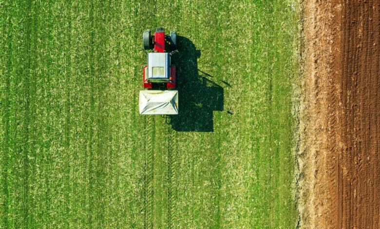 opportunità settore agricolo campania