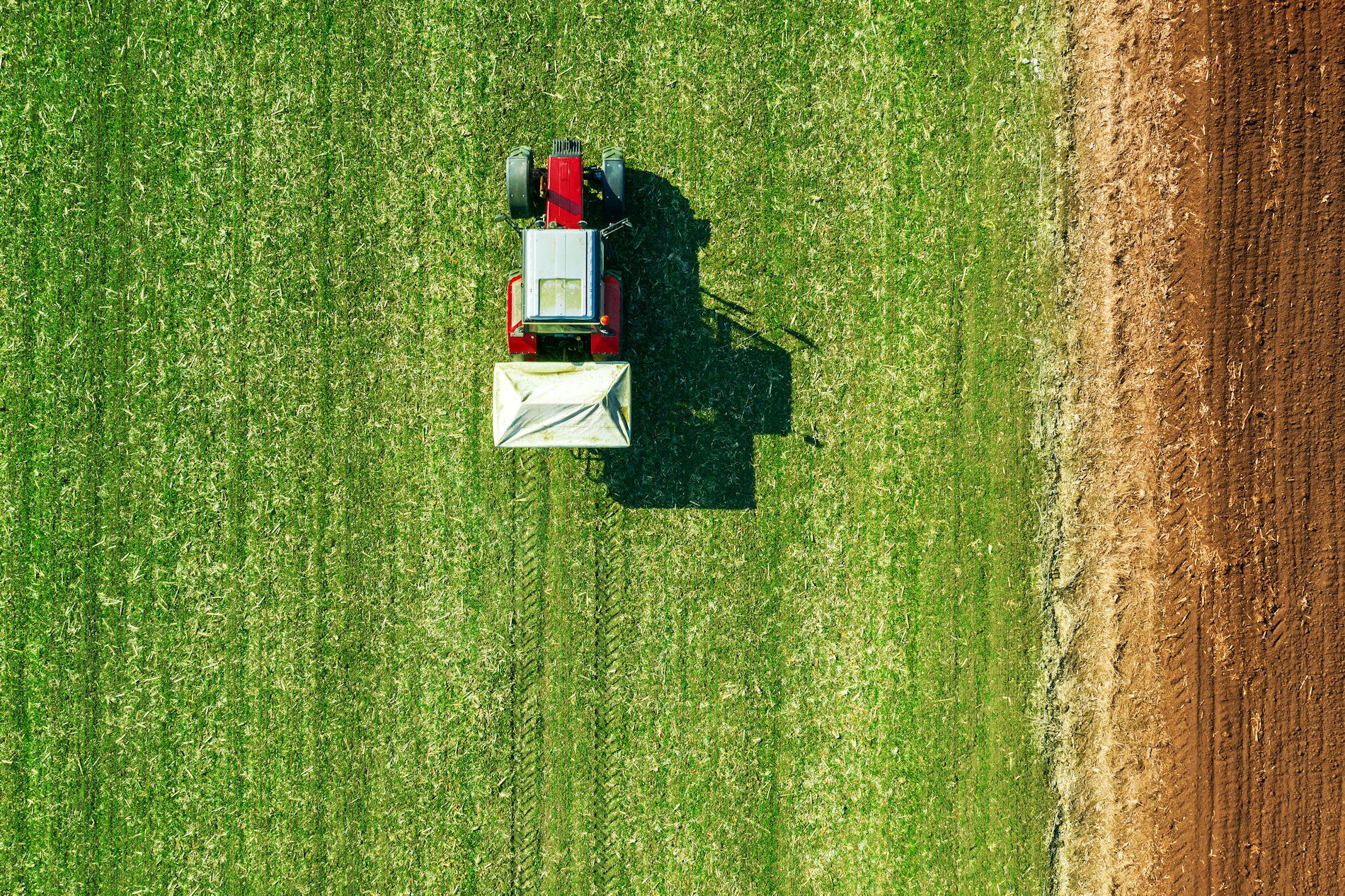 opportunità settore agricolo campania