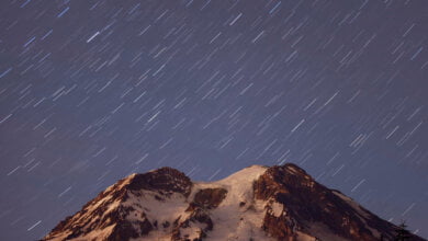 pioggia di stelle