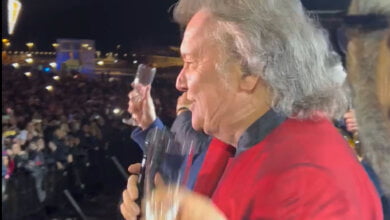 pooh a salerno frame