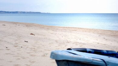 px Steccatobarca fonte wikipedia