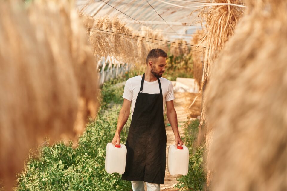 Watering cans in hands. Walking between dried plants. Young gardener is in the greenhouse