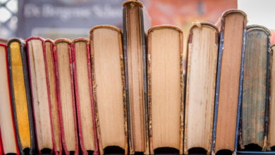 biblioteca centola festival scrittori