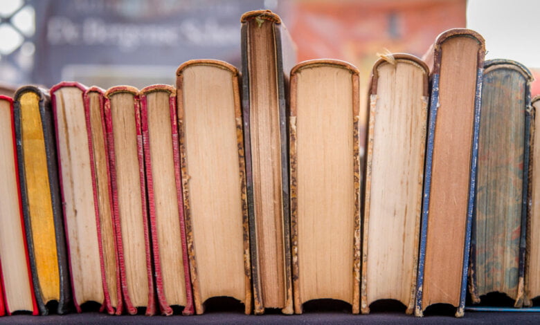 biblioteca centola festival scrittori