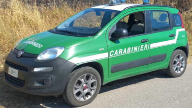 carabinieri forestali