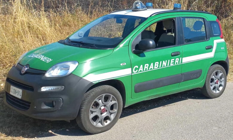 carabinieri forestali