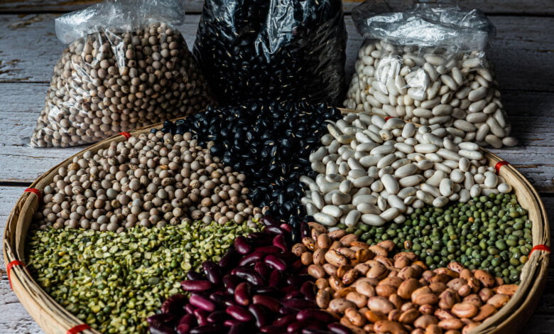 giornata mondiale dei legumi cilentano.it