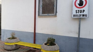 stop bullismo