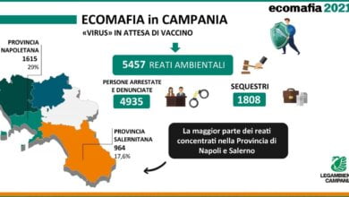 infografica Ecomafia scaled e