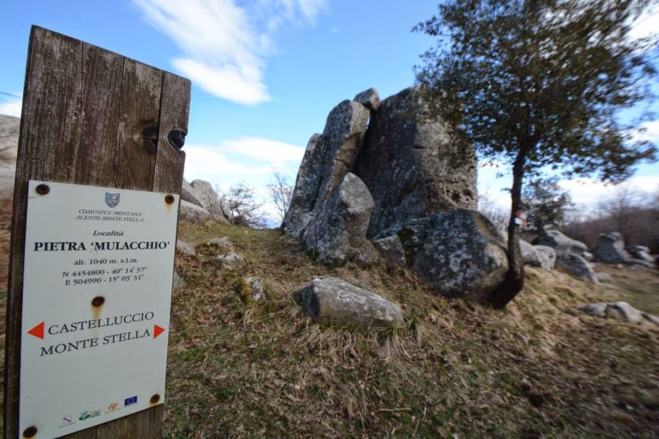 MONTE STELLA