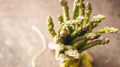 asparago selvatico a roscigno