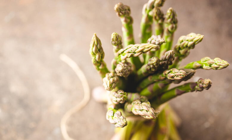 asparago selvatico a roscigno