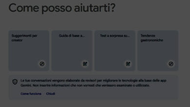 consci