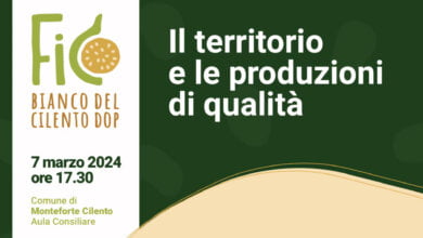 fico bianco del cilento dop