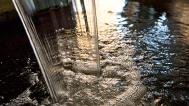 giornata mondiale per l'acqua