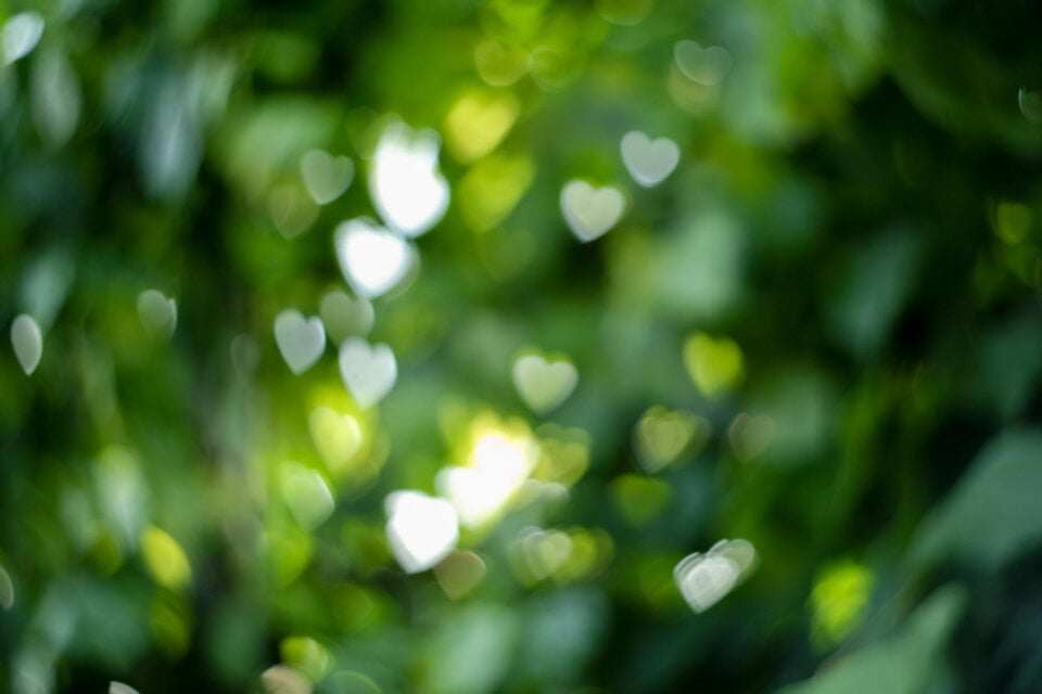 green transizioneecologica