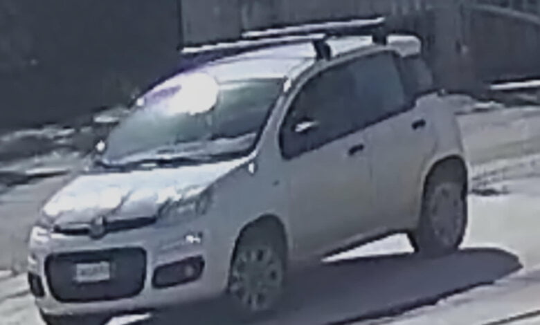 panda rubata a matinella